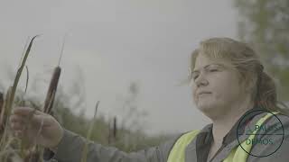 Palus Demos: Future-Proofing a Family Farm with Paludiculture