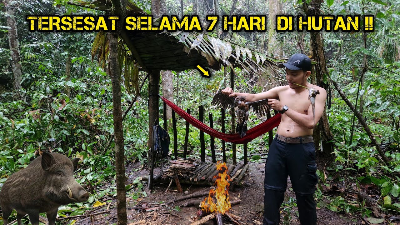 7 HARI BERTAHAN HIDUP DI HUTAN | SOLO SURVIVAL | SENDIRI DI HUTAN | SOLO CAMPING ADVENTURE !!