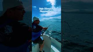 Raja Olbrzymia Płaszczka z zachodniej Szkocji Flapper Skate #fishing #wędkarstwo #morze #szkocja