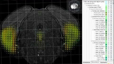 Tutorial: Brain Explorer® 3-D Viewer for the Allen Mouse Brain Atlas