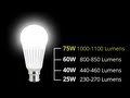 Integral led  what are lumens