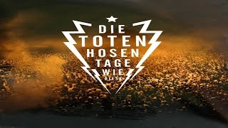 Video thumbnail of "Die Toten Hosen - Tage Wie Diese (Piano Cover)"