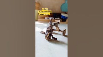 Trycycle New coconutshell #craft #ideas #coconutshell #trycycle #shorts #youtubeshorts #instagram