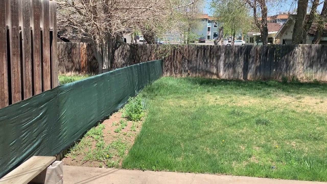 52nd Place Video Tour