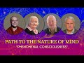 Phenomenal Consciousness. The Path to the Nature of Mind