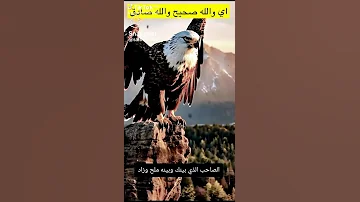 درست على يد الضروف في الدنيا اربع مواد 