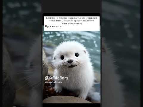 Больше видео на канале
