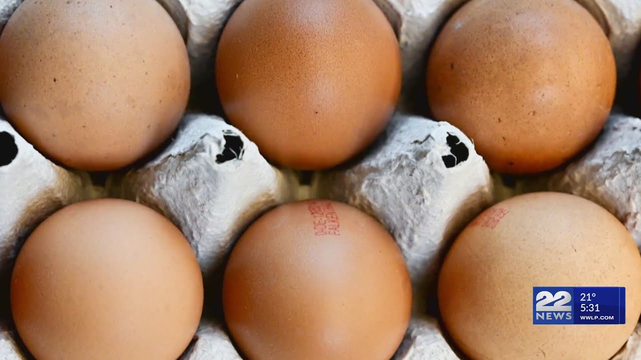 Egg prices spike amid avian flu outbreak - YouTube