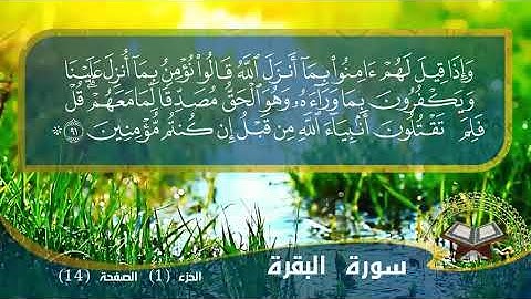 سورة (البقرة) | الآيات (89 - 93) | الصفحة (14) | الحصري