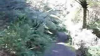 The Flying Fox at the Karioi Lodge