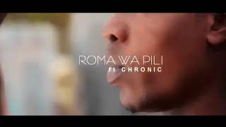 Roma wa 2 song, nashambuli official video