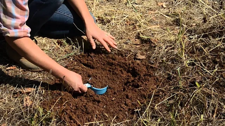 How to Collect a Soil Sample for Lab Analysis