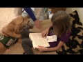 Elvehjem Reading Dog