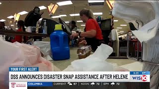 DSS announces SC counties that will receive Disaster SNAP assistance in Helene’s wake