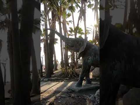 🐘 Hidden elephant in San Pedro Alcántara, Marbella, Spain