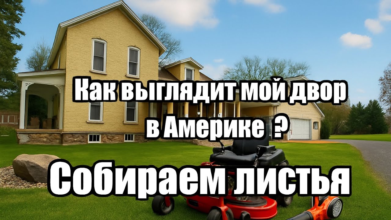 Американский быт, уборка листьев.