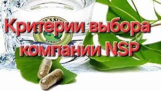 Критерии выбора компании NSP: мнение директора Вадима Двугубского. 💼💭