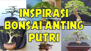INSPIRATION FOR PRINCESS' EARRING BONSAI