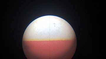 For sale: An used Leja Nidau Swiss Centering  or Tool Setting Microscope