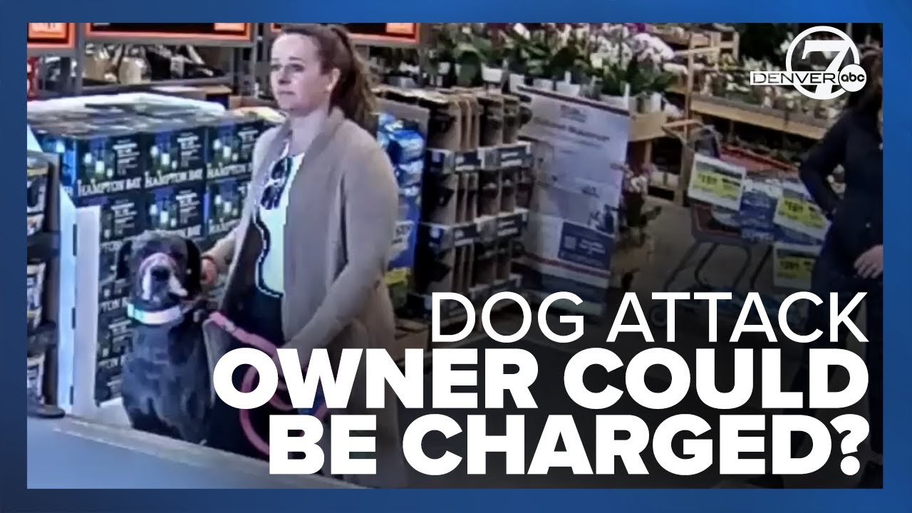 Owner whose dog attacked woman at Home Depot could be charged, deputies say