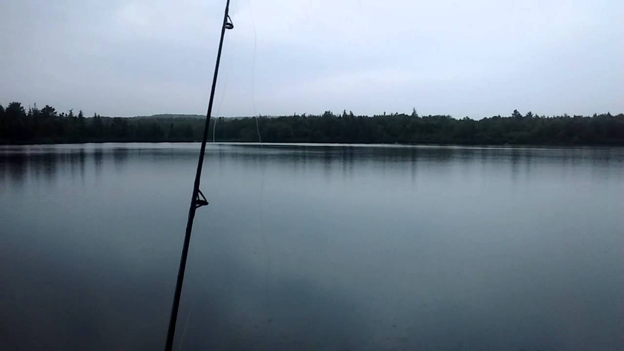 fishing round lake - YouTube