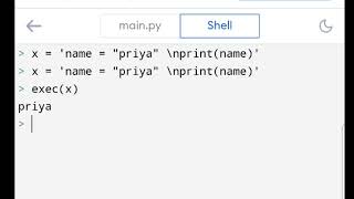 built-in functions (input and exec)