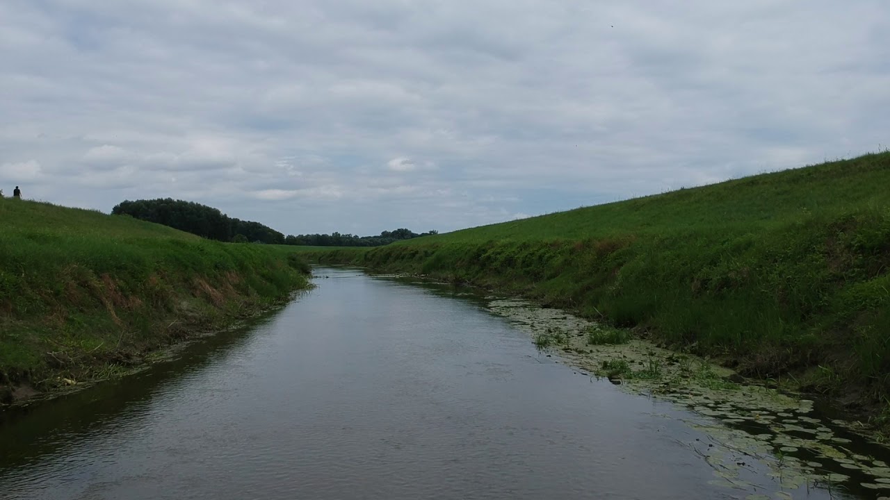 Fekete víz szaporca