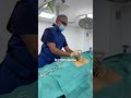 ¿Qué es el PRP? ¿Son células madre? Plasma Rico en Plaquetas explicado | Dr. García Henares