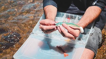 How to pick the correct jig-head for your soft plastic!