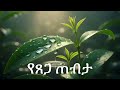 የጸጋ ጠብታ Drop Of Grace Ethiopian Gospel Mezmur