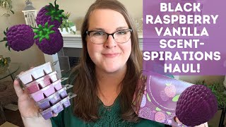 Black Raspberry Vanilla Scentspirations Haul + Cold Sniffs! 💜 | Scentsy