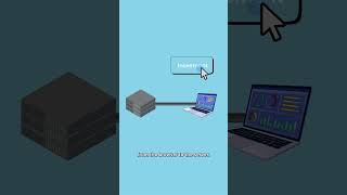 How LiveView Communicates With Your Browser?