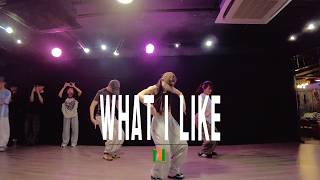 Rvssian, MOLIY, Ayetian & Tyga - What I Like | Wing Choreography | DL Studio