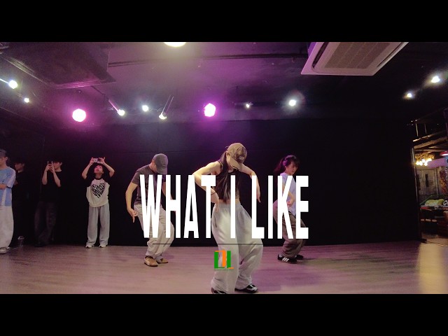 Rvssian, MOLIY, Ayetian & Tyga - What I Like | Wing Choreography | DL Studio