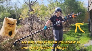 Watch to see why this WORX 20v 10 inch expandable pole chainsaw is so AWESOME for a little old me.