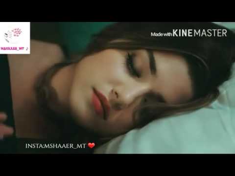نامي عالهدى ملحم زين حياة ومراد الحب لا يفهم من الكلام