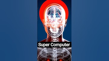 Human Brain vs Super Computer #facts #science #shortsfeed