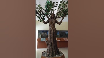 Tree Model | Clay Tree #shorts #trending #ytshorts #shortsvideo #tree #trend  #trendingshorts