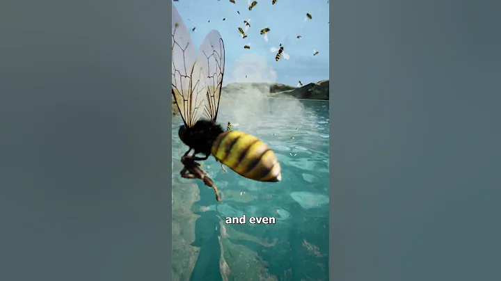 Can You Hide from Bees In A Lake? 😮