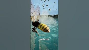 Can You Hide from Bees In A Lake? 😮