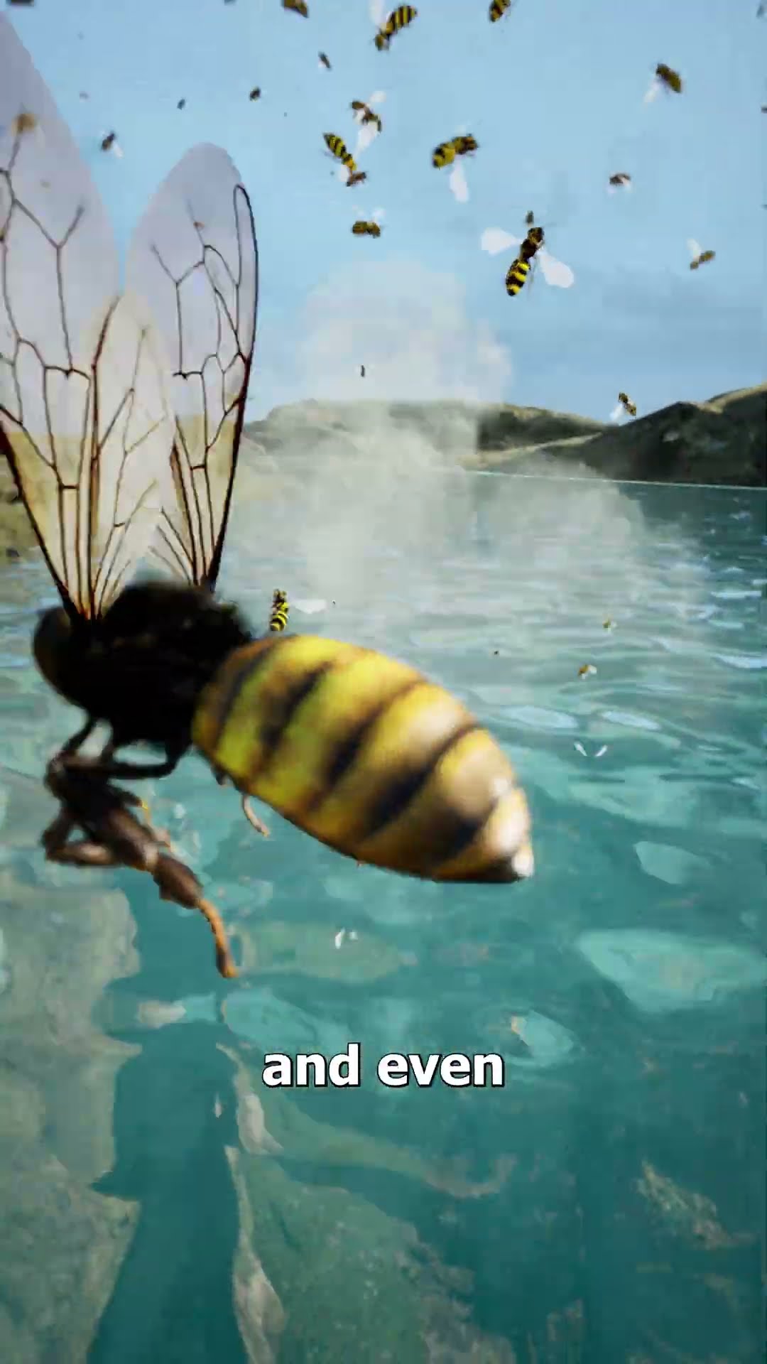 Can You Hide from Bees In A Lake? ?