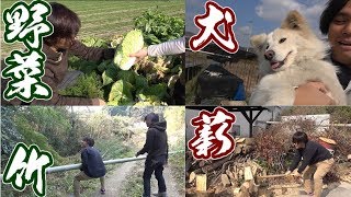 All selfsustainable camp! Bamboo, firewood, vegetables, boar meat! !