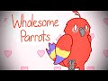 Wholesome Parrots Dancing - Animation (...Meme?)
