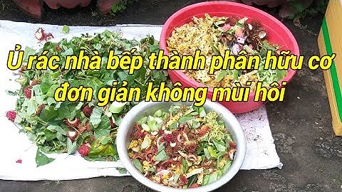 Cách ủ rác nhà bếp - không mùi hôi