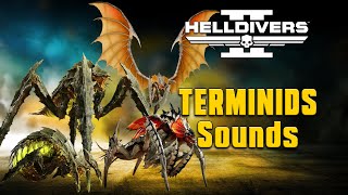 Helldivers 2: Terminids - What do they sound like?