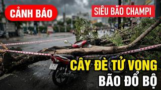 SÀI GÒN NGUY HIỂM RÌNH RẬP - SIÊU BÃO CÀN QUÉT BIỂN ĐÔNG & CÂY ĐỔ GIỮA ĐƯỜNG QUẬN 11 TỬ.VONG.1 NGƯỜI