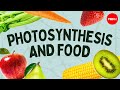 Lhistoire simple de la photosynthse et de la nourriture  amanda ooten