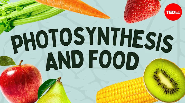 The simple story of photosynthesis and food - Aman...