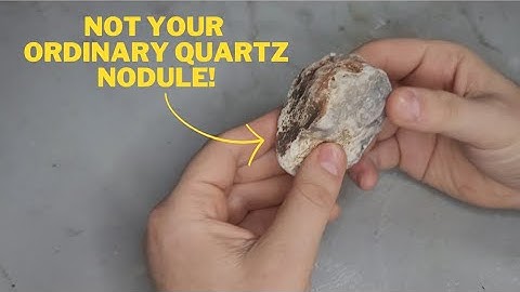 Check Out What We Found in This Chalcedony Quartz Nodule