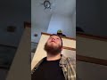 Man Gets Pranked with Water from Upstairs#prank #funny #comedy #shock